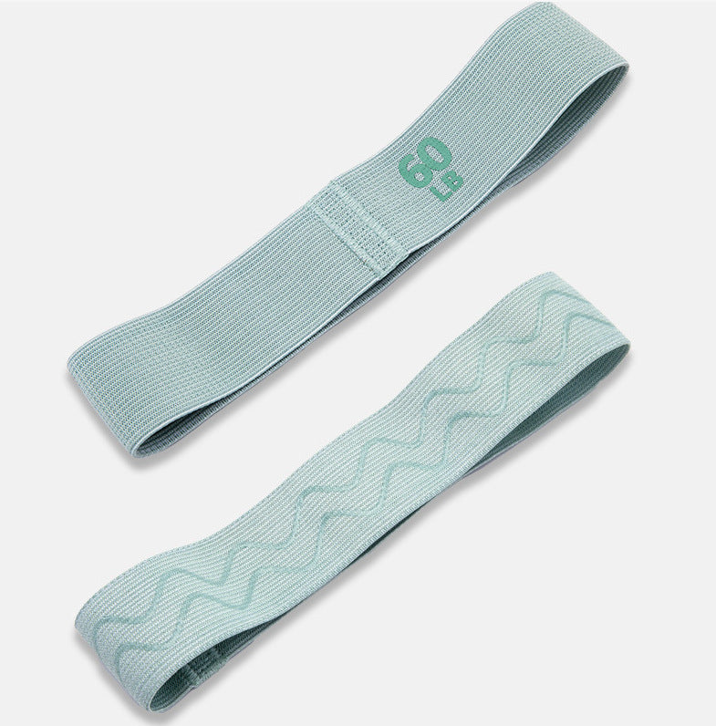 SculptFlex Resistance Training Band