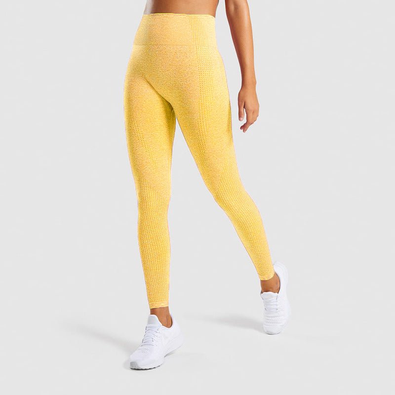 High - Waist Sculpting Bodysuit Tummy Control Shapewear_Australia Elevate_Seamless_Training_Leggings _Squat_Proof Activewear_Australia Elevate_Resistance_Booty_Band_Set _3_Levels Gym_Acc