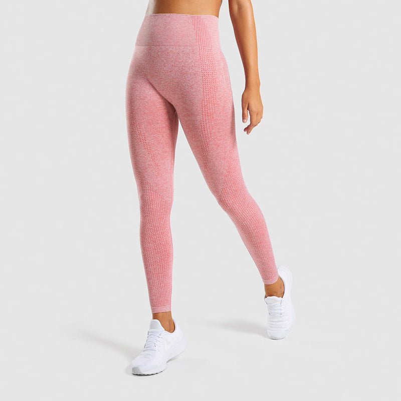 High - Waist Sculpting Bodysuit Tummy Control Shapewear_Australia Elevate_Seamless_Training_Leggings _Squat_Proof Activewear_Australia Elevate_Resistance_Booty_Band_Set _3_Levels Gym_Acc