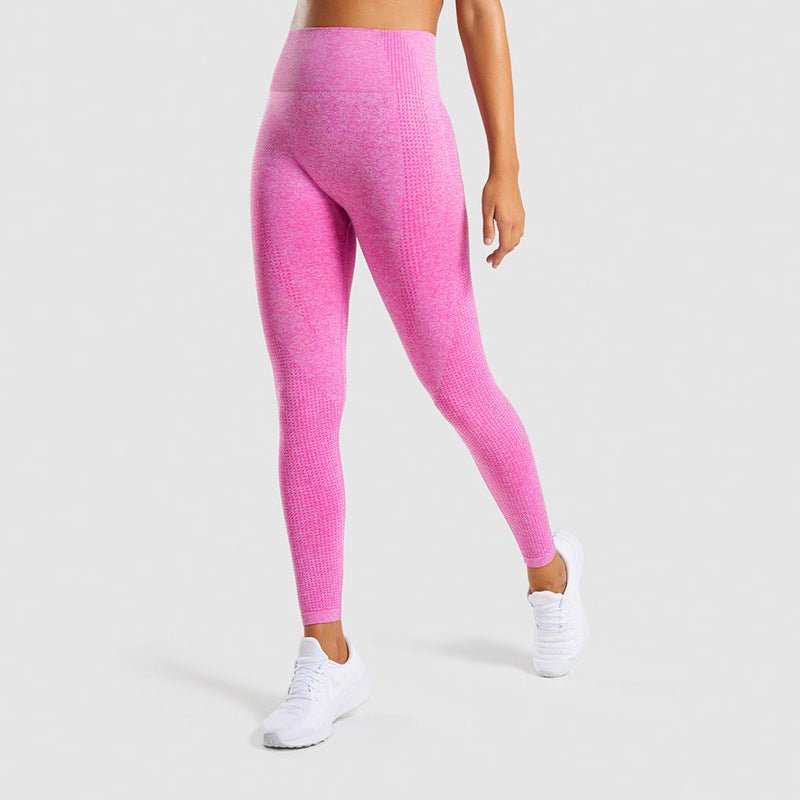 High - Waist Sculpting Bodysuit Tummy Control Shapewear_Australia Elevate_Seamless_Training_Leggings _Squat_Proof Activewear_Australia Elevate_Resistance_Booty_Band_Set _3_Levels Gym_Acc