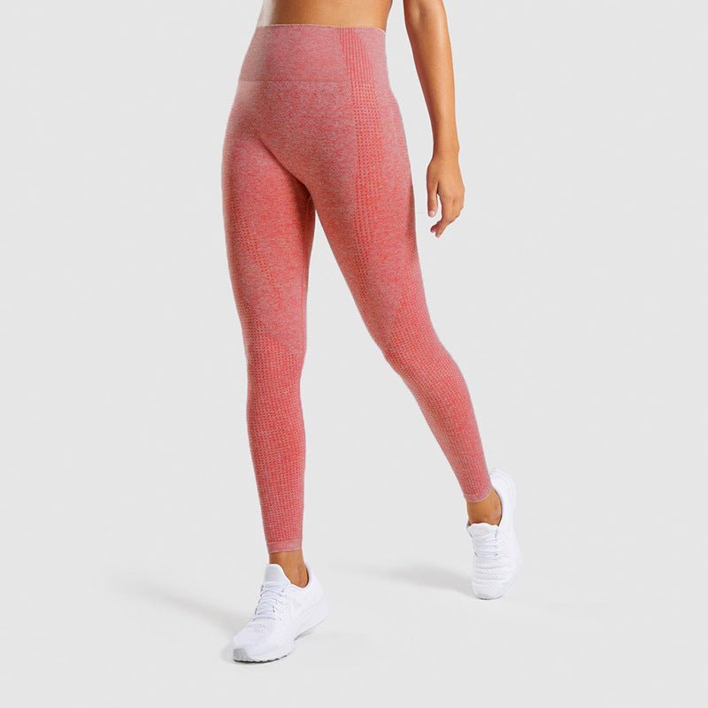 High - Waist Sculpting Bodysuit Tummy Control Shapewear_Australia Elevate_Seamless_Training_Leggings _Squat_Proof Activewear_Australia Elevate_Resistance_Booty_Band_Set _3_Levels Gym_Acc